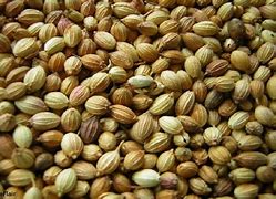 Natural Coriander Seed
